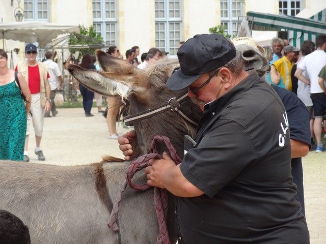 fete ane 2018 (67).JPG